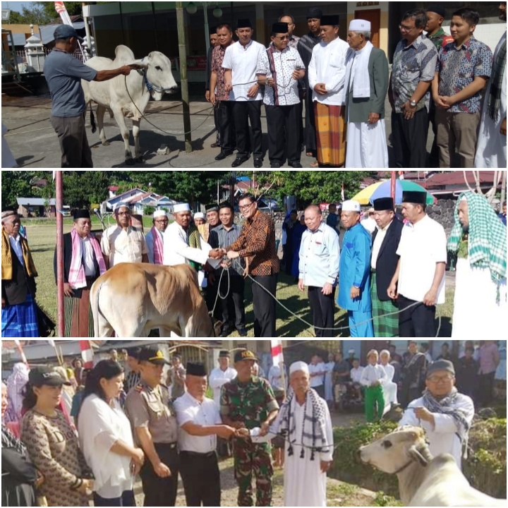 PhotoGrid_1565497909029