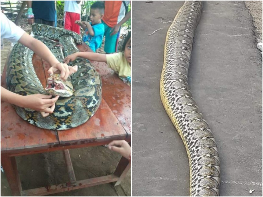 PhotoGrid_1566603629279