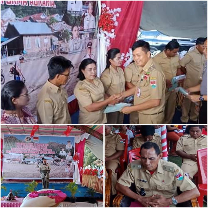 PhotoGrid_1573044724119