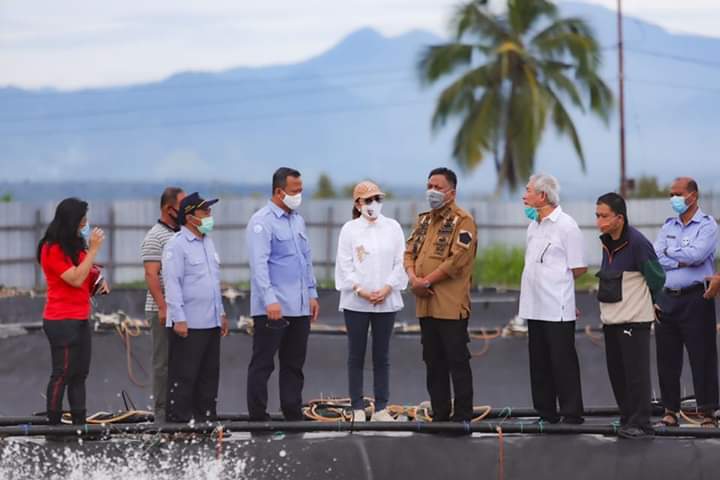 Bupati CEP Dampingi Menteri Kelautan RI dan Gubernur Sulut Tinjau Tambak&nbsp;Udang