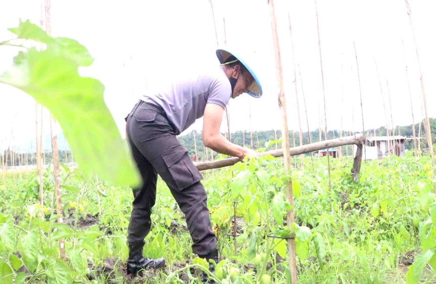 KAPOLRES SITUMORANG BERKEBUN JANGKUL