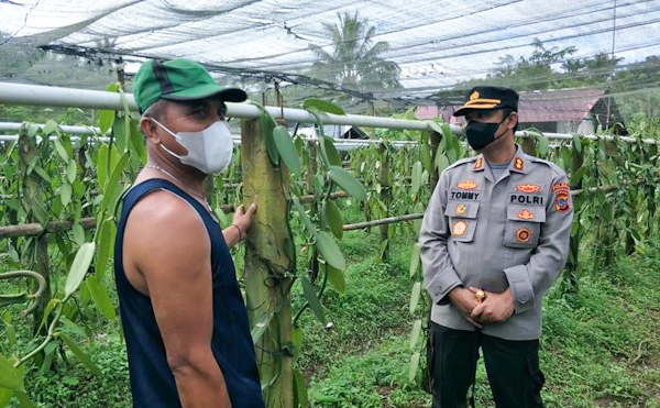 Dimasa Pandemi, Kapolres Souissa Dukung Petani&nbsp;Vanili