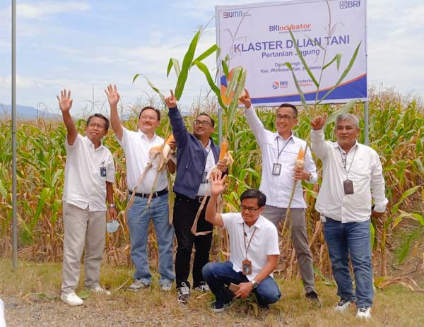 BRI Dorong Pemberdayaan Ekosistem Klaster Bisnis di&nbsp;Gorontalo