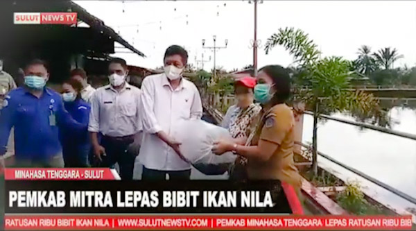Wakil Bupati Mitra Lepas Ratusan Ribu Bibit Ikan Nila di Danau Seledan&nbsp;Tombatu