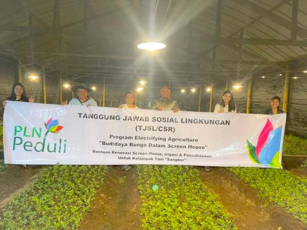 Sambut TIFF 2022, Bunga Krisan Makin Mekar Dengan Cahaya Dari&nbsp;PLN