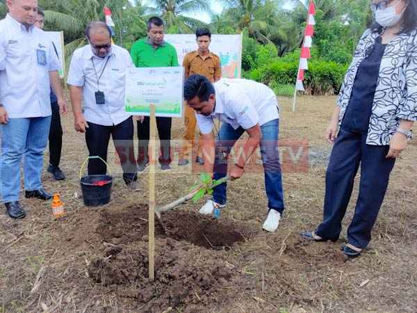 BRI Dukung Implementasi Penurunan Emisi Karbon, Tanam Bibit Advokat, Bakau, Mahoni di&nbsp;Likupang