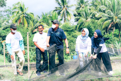 Komisaris PLN Apresiasi Program Budidaya Ikan Wader di Yogyakarta Binaan PLN bersama&nbsp;UGM