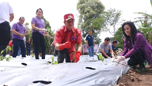 Antisipasi Potensi Krisis Pangan, Pemkab Minahasa Siapkan Ribuan Bibit&nbsp;Tanaman