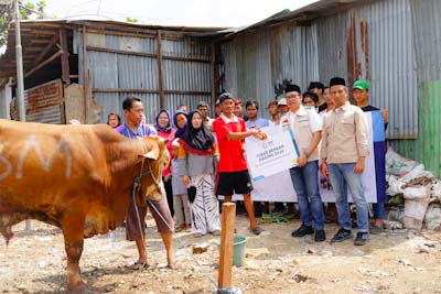 Idul Adha, YBM PLN Salurkan 1.444 Hewan Kurban Ke Seluruh&nbsp;Indonesia