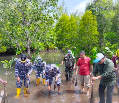 Jelang HUT Kemerdekaan RI, Lantamal VIII Manado Dan PLN Suluttenggo Kompak Terus Konsisten Dukung Peningkatan Populasi Hutan Mangrove Di Sulawesi&nbsp;Utara