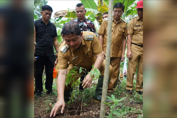 Tanam Bibit Pohon di Ranotongkor Minahasa, Ini Harapan Bupati&nbsp;Kumendong
