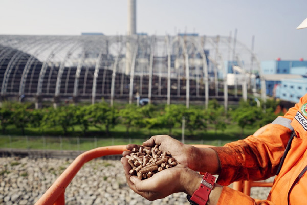 Sukses Tingkatkan Penggunaan Biomassa, PLN Tekan Emisi Karbon 717.616 Ton&nbsp;CO2