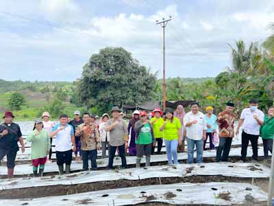 BI – Poktan Wanita Tani Maju Bersama di Minsel, Canangkan Tanam Cabe&nbsp;Rawit
