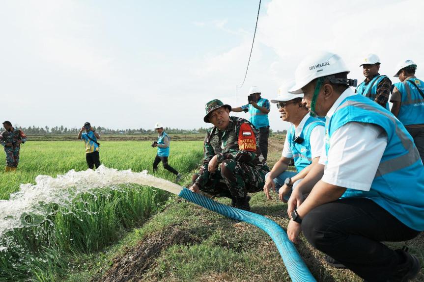 Dukung Pengembangan Pertanian di Merauke, PLN Listriki Area Sawah Garapan&nbsp;Kementan-TNI