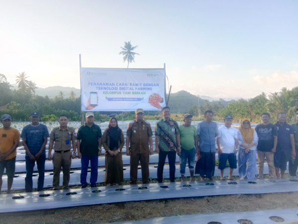 Perdana! BI Sulut dan Pemerintah Kotamobagu Tanam Cabai Rawit Menggunakan Teknologi Digital&nbsp;Farming