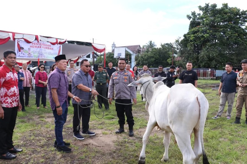 VIDEO: Pemkab Minahasa Serahkan 19 Ekor Hewan Qurban di Hari Raya Idul Adha&nbsp;2025