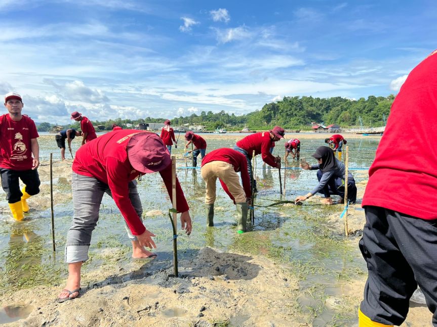 Pertamina Patra Niaga Sulawesi Tanam 1.000 Mangrove di Kendari untuk Wujudkan Ekosistem Pesisir yang Lebih&nbsp;Tangguh